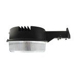 [R] Barn light 40W 100-277V 50K black clear lens 120 deg. int. photo.