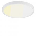 12" 24W 120V Frosted White Dimmable CCT Ceiling Light