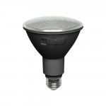 PAR30 12W 5CCT LED BULB BLACK