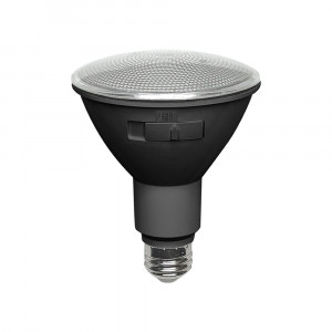 PAR30 12W 5CCT LED BULB BLACK