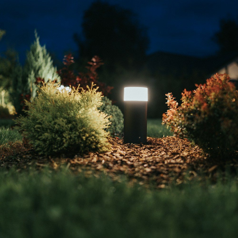 LED lighting – Garden