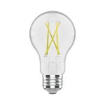 FILAMENT ARTISAN II - A19 - 9W - 810LM - IRC 90 - 2700K - DIMMABLE - TRANSPARENT