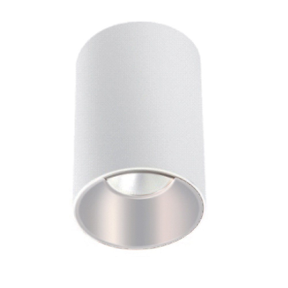 SURFACE-MOUNT LED ROUND SINGLE HEAD DOWNLIGHTS - 30W - 120VAC - 2400LM - BEAM ANGLE 35° - 4000K - DAMP LOCATION -