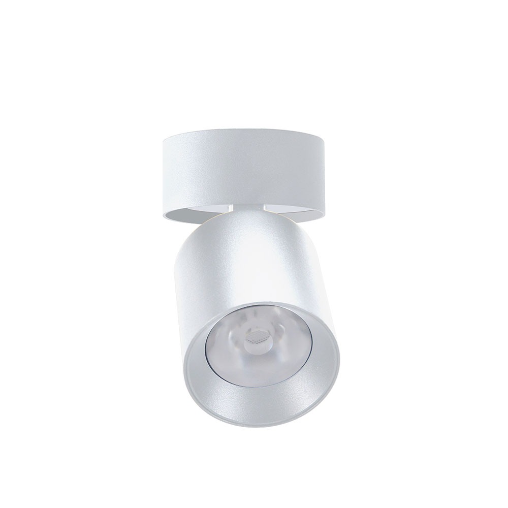 SURFACE-MOUNT LED ROUND ROTATABLE DOWNLIGHTS - 24W - 120VAC - 2160LM - BEAM ANGLE 36D - 3CCT - DAMP LOCATION -