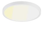 12" 24W 120V Frosted White Dimmable CCT Ceiling Light