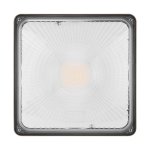 Canopy Light - CCT & Wattage Variable - 24-36-47-60W - 8400 Max Lumens - Dimmable - 120-347V - V6
