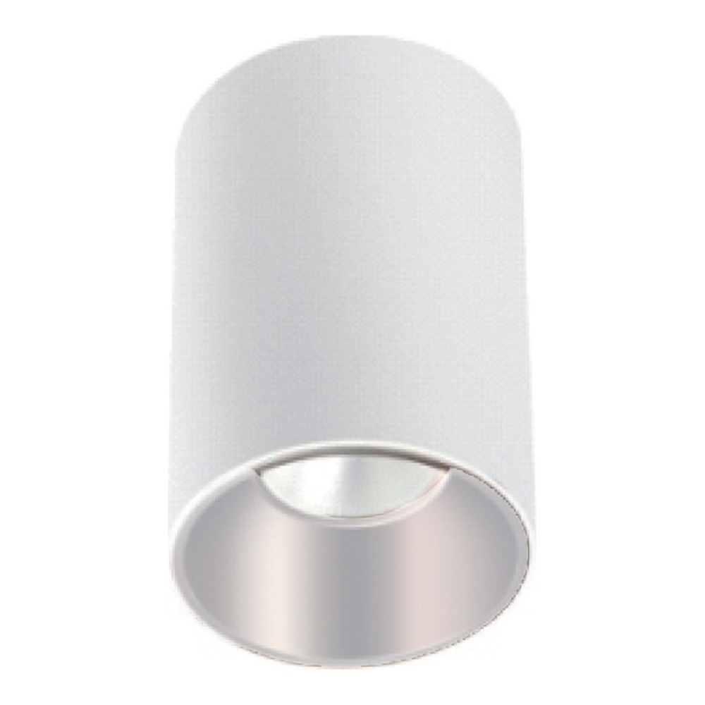 PLAFONNIER LED ROND À TÊTE SIMPLE EN SAILLIE - 30W - 120VAC - 2400LM - ANGLE DE FAISCEAU 35° - 4000K - EMPLACEMENT HUMIDE - BLANC