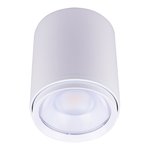 CYL CYLINDER LIGHT, CYLINDERS, 21W/28W/35W, 2700K/3000K/3500K/4000K, 120-347V, WHITE
