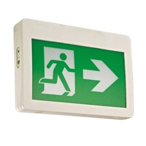 Running Man 4 Plastic - No Bat - 1W - 6-24VDC or 120-347V - V1