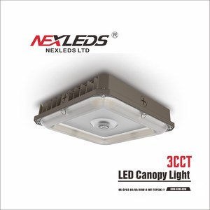 LED Canopy Light