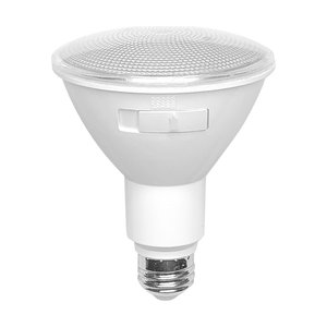 PAR30 12W 5CCT WHITE LED BULB