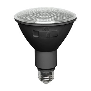 PAR30 12W 5CCT LED BULB BLACK