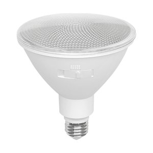 PAR38 16W 5CCT WHITE LED BULB