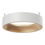 HS/VERS 5" MATTE WHITE/GOLD RECESSED TRIM