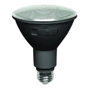 LED BULB PAR30 12W 5CCT