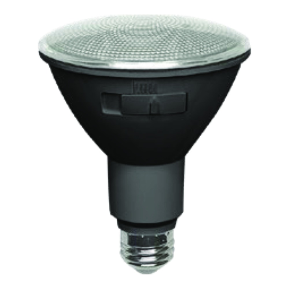 LED BULB PAR30 12W 5CCT