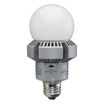 80W SHOE BOX/WALL PACK RETROFIT - REPLACES UP TO 250W HID - EX39 - 5000K 120-277V -LED-8089M50D-G5
