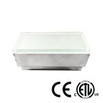 WALK ON INGROUND BRICK LIGHT - 24V DC - 2.6W - 3000K WARM WHITE