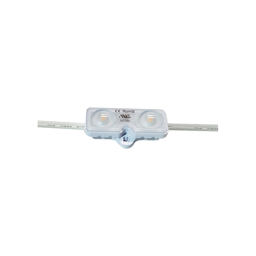 LED SIGN MODS - 2 LED, 12V DC, 25 MODS/STRING (12.5'), 0.66W/MOD, 55 LUMENS/MOD, 6000K