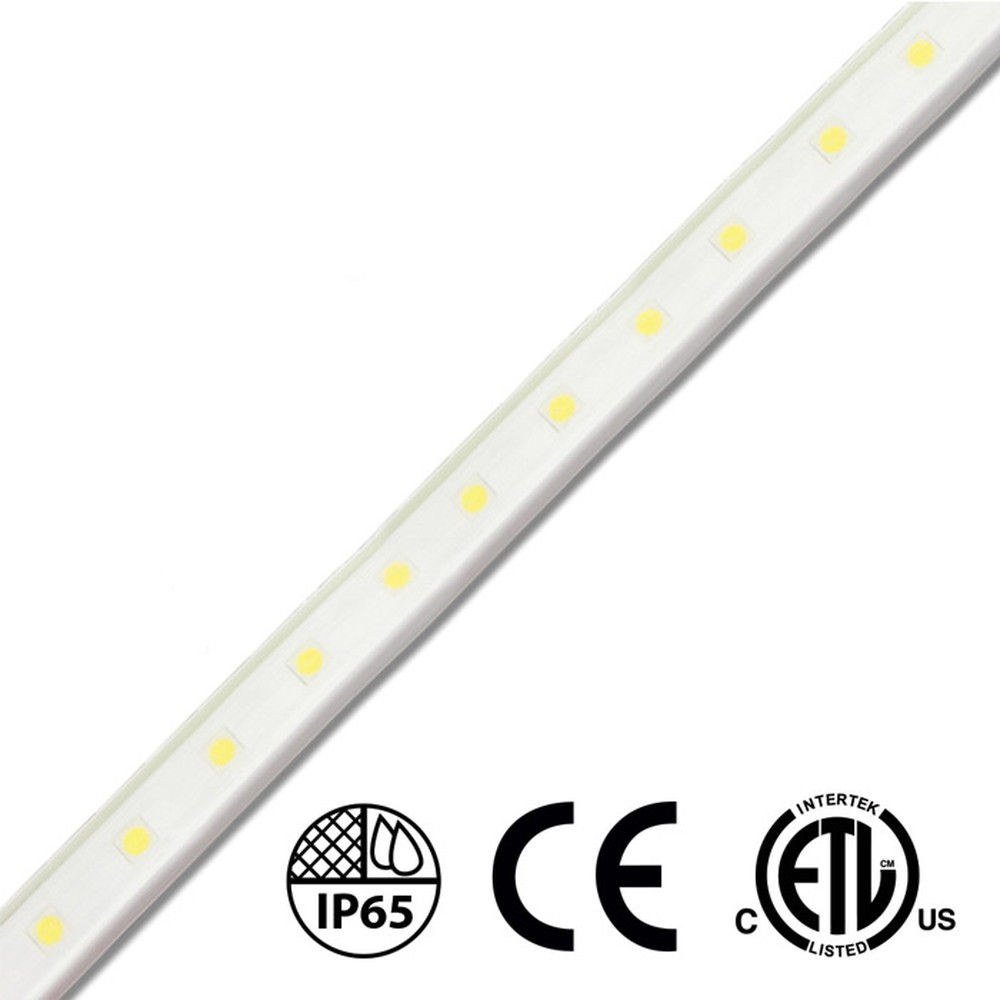SINGLE COLOR NEON - COMMERCIAL GRADE - 24V - 0.61M (2') SAMPLE - 9.6W/M (2.9W/FT) - OUTDOOR RATED UV PROTECTED