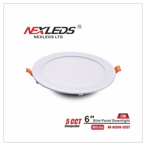 4 inch 5CCT slim panel WetLocation white (NX-4NSP-9W-5CCT)