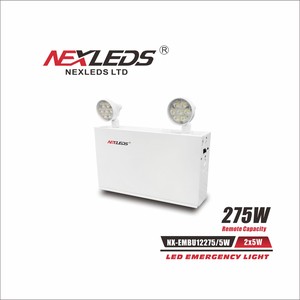 STEEL 12VOLT 275 W FOR 30 MIN C-W (2) 5W LED