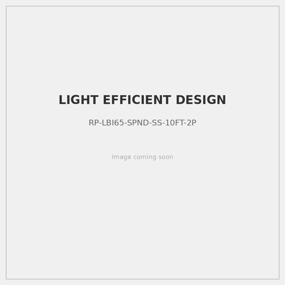 STAINLESS STEEL - WATERPROOF AIRCRAFT SUSPENSION CABLE  -RP-LBI65-SPND-SS-10FT-2P