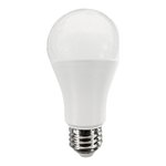 PURE VISION A19 S2 - 15W - 1600LM - 40K