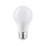 PURE VISION A19 S2 - 9W - 800LM - 40K - DIMMABLE - ES