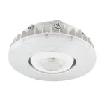 SSL-CPG 100W (13500LM) - CANOPY LIGHT - SELECTABLE 30-40-50K - 120-347V - WHITE - 1-10V DIM - C/W SENSOR SOCKET