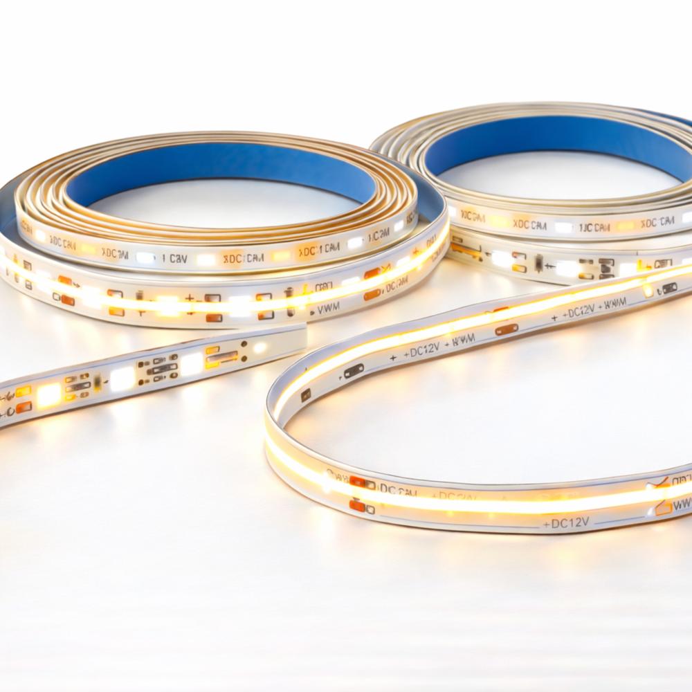 Outdoor CCT LED Strips